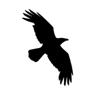RAVEN